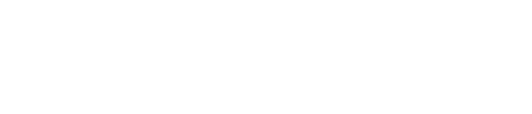 Nader alMaleh